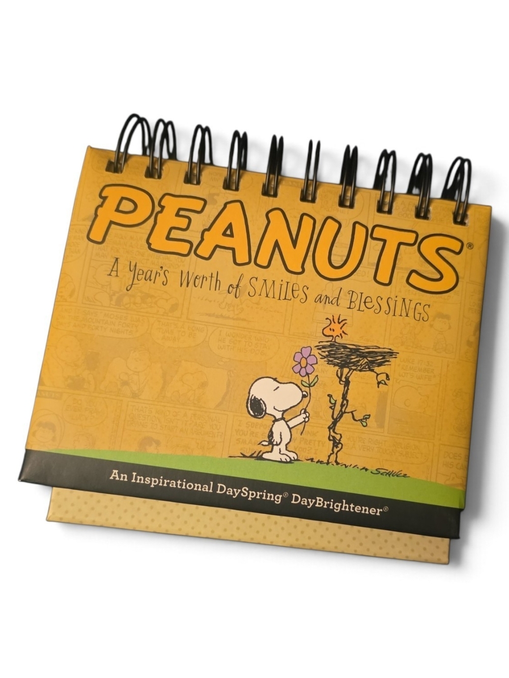 DaySpring Peanuts: A Year's Worth of Smiles & Blessings Day Brightener Calendar